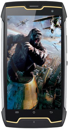 King Kong
